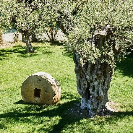 Agriturismo Dimina Farm stay