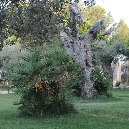 Agriturismo Dimina Farm stay *