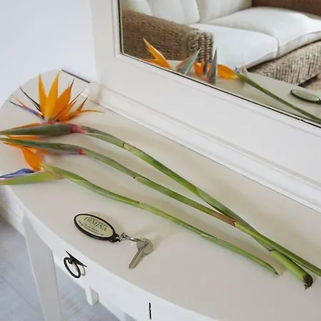 Séjour à la ferme Dimina *